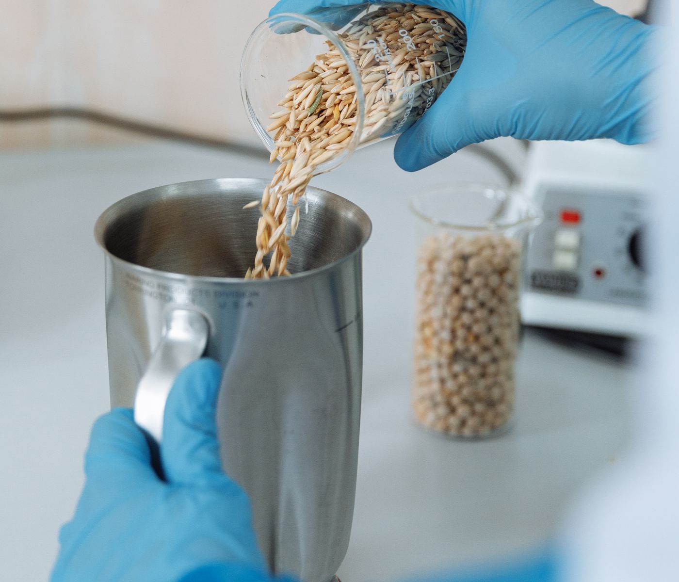 Técnica de laboratório despejando amostra de grãos para análise